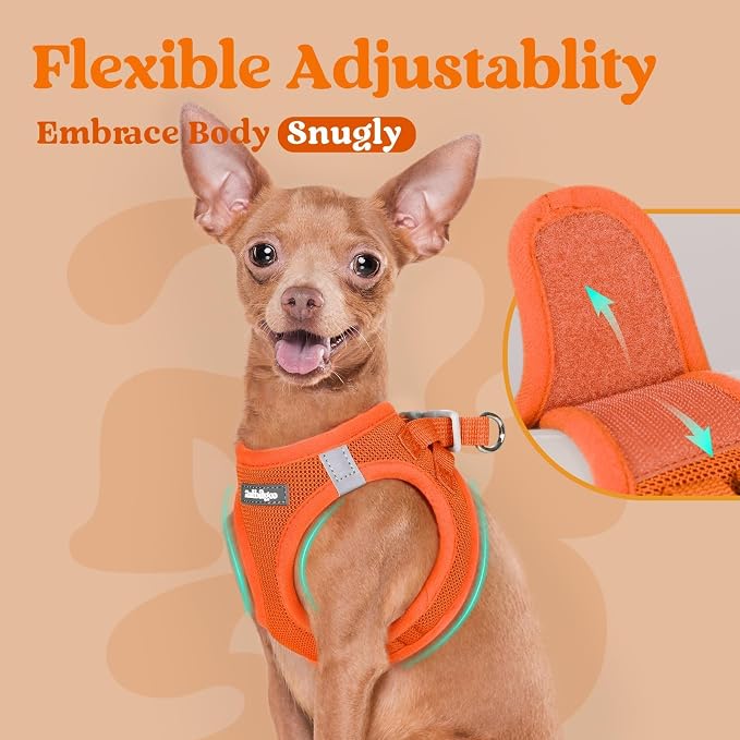 rabbitgoo Step-in Small Dog Harness, Puppy Vest for Small Sized Pet | Easy Put on and off, Lightweight, Soft, Breathable Quick-Dry Air Mesh for Comfortable Secure Walking, Orange M