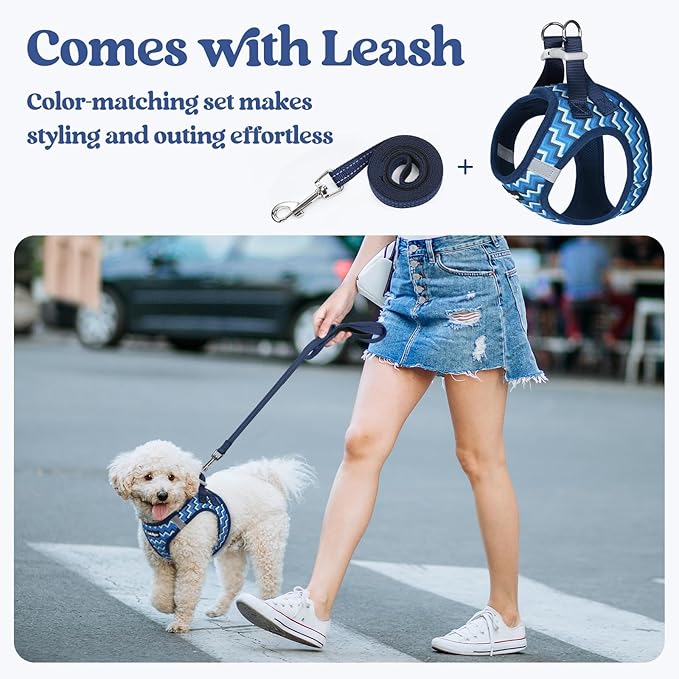 rabbitgoo Dog Harness Small Sized and Leash Set, Step-in Puppy Pet Vest | Light, Soft, Breathable Air Mesh, Easy on and Remove with Hook & Loop, Secure Reflective for Walking, Blue Zigzag S