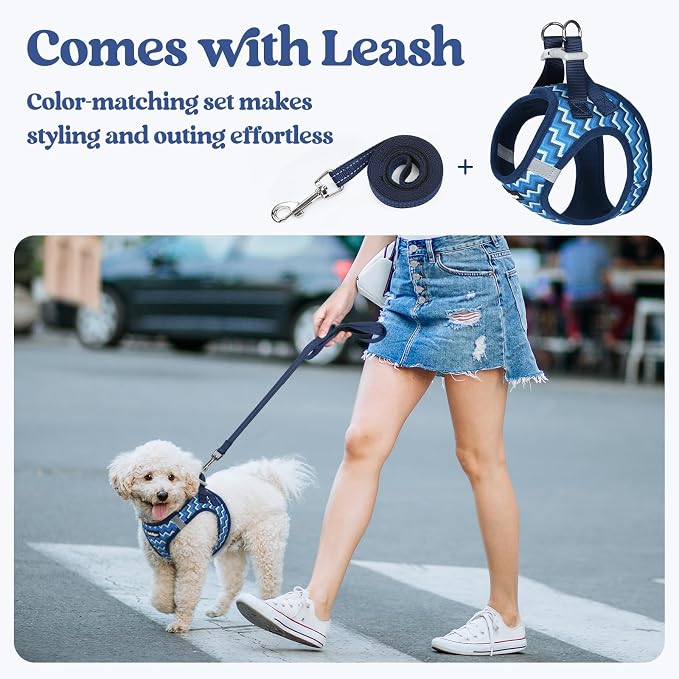 rabbitgoo Dog Harness Small Sized and Leash Set, Step-in Puppy Pet Vest | Light, Soft, Breathable Air Mesh, Easy on and Remove with Hook & Loop, Secure Reflective for Walking, Blue Zigzag XS