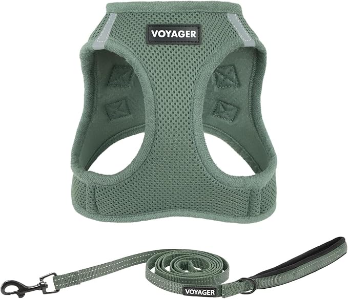 Best Pet Supplies Voyager Step-in Air All Weather Mesh Harness and Reflective Dog 5ft Leash Combo with Neoprene Handle, for Small, Medium and Large Breed Puppies - Moss Green, X-Large