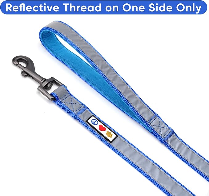 Pawtitas 6 FT Padded Dog Leash with Comfortable Neoprene Padding Handle - Blue Lead | Reflective Dog Leash with Highly Reflective Band Perfect for Extra Small and Small Dogs and Puppies