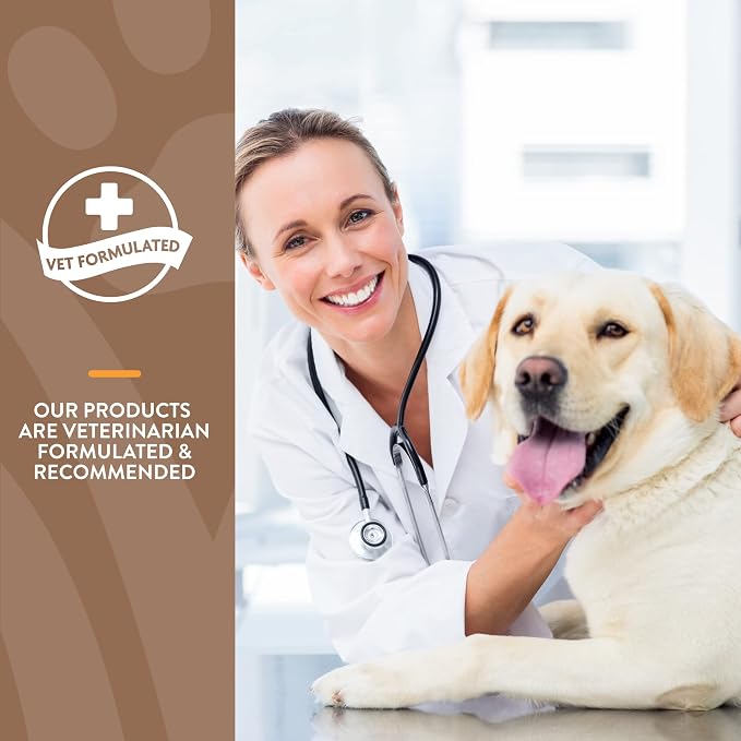 NaturVet All-in-One Dog Supplement - for Joint Support, Digestion, Skin, Coat Care – 120 Soft Chews & No Scoot for Dogs - 120 Soft Chews - Supports Healthy Anal Gland & Bowel Function