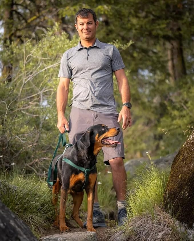 Blueberry Pet Essentials Matching Dog Collar Leash Harness Set in Verdant Green, Adjustable Classic Solid Color Nylon Collar with Harness & 4 ft Leash for Large Dogs