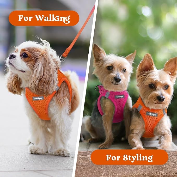 rabbitgoo Step-in Small Dog Harness, Puppy Vest for Small Sized Pet | Easy Put on and off, Lightweight, Soft, Breathable Quick-Dry Air Mesh for Comfortable Secure Walking, Orange S