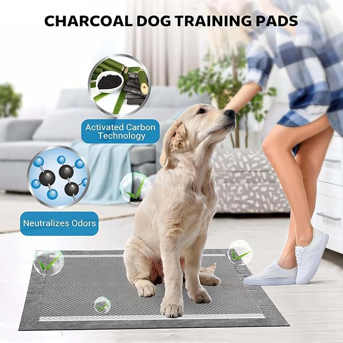BinetGo Disposable Pee Pads for Dogs, 35 Count 30" x 36" XX-Large Wee Wee Pads for Dogs, Extra Absorbent Puppy Pads, Pet Training Pads for Dog, Charcoal Puppy Pee Pad for Indoors