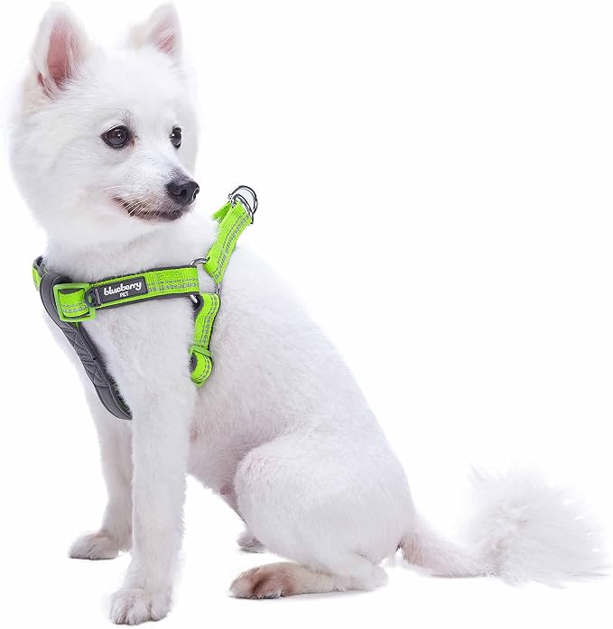 Blueberry Pet Soft & Comfy 3M Reflective Step-in Pastel Color Padded Dog Harness, Chest Girth 23.5" - 29.5", Green Flash, Large, Adjustable Harnesses for Dogs