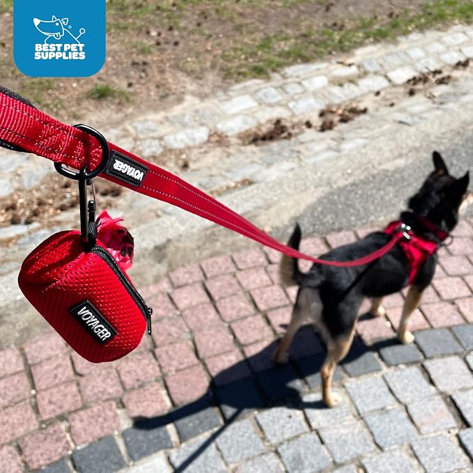 Best Pet Supplies Dog Poop Bag Holder Leash Attachment with 15 Bags, Baby Blue, Reusable Mesh Dispenser Pouch for Travel, Walking, Park, and Outdoor Use, Soft and Durable with Clip-On