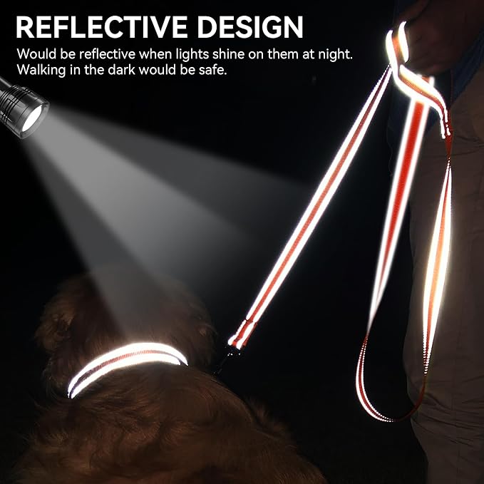 Joytale Reflective Dog Leash for Medium & Large Dogs, 5 FT x 1", Orange | Heavy Duty Nylon Webbing, Padded Handle for Comfort, Visible at Night, for Walking & Training