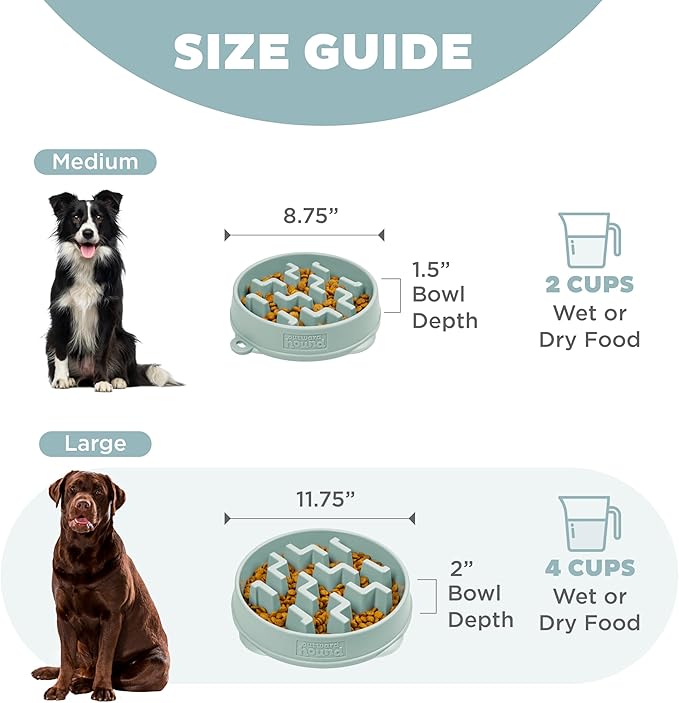 Outward Hound Medium Slow Feeder Bowl, Puzzle Maze for Fast Eaters, Small to Medium Dogs, Helps Prevent Bloat & Aid Digestion, Holds 2 Cups Wet or Dry Food, Non-Slip, Made Without BPA, Sage