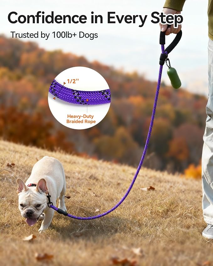 Joytale Rope Dog Leash for Small Dogs, Padded Handle, 5FT, Purple | Reinforced Nylon Webbing, Comfort Grip Eases Hand Strain, Swivel Clip Prevents Tangles, Visible at Night, for Outdoor Walks