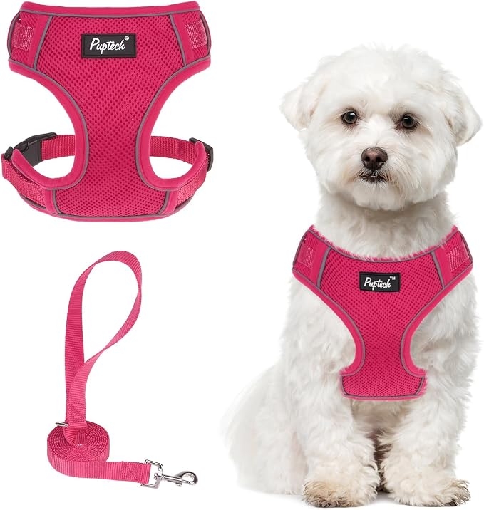 PUPTECK Small Dog Harness and Leash Set, No Pull Adjustable Puppy Cat Harness, Reflective Soft Mesh Pet Vest Small Sized, Fuchsia, M