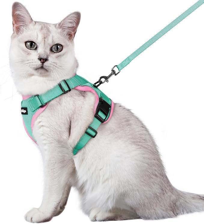rabbitgoo Cat Harness and Leash Set, Escape Proof Vest, Green & Pink | Soft Breathable Mesh, Easy Adjustable Fit, Snap Buckles, Sturdy Clip, Reflective Strips, for Medium to Large Cats Walks, M