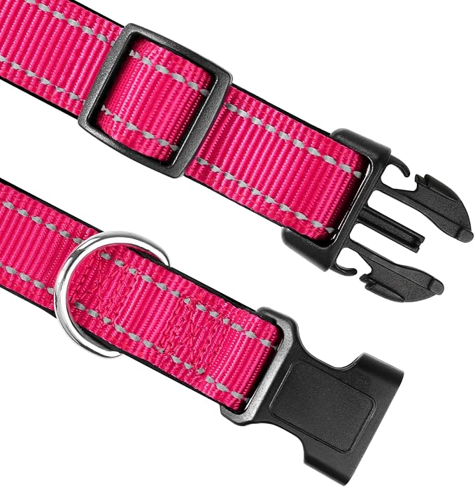 Joytale 6FT1'' Dog Leash and Collar (16-24"), Reflective Soft Neoprene Padded Pet Collars and Leashes for Large Dogs, Hotpink
