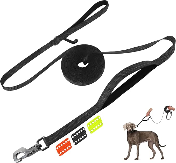 Fida Obedience Recall Training Agility Lead, 30FT Long Dog Leash, Black | 33FT & 50FT, Traffic Handle, Soft Padded, Reflective for Night Safety, Durable Nylon Dog leash for Small Medium Large Breeds