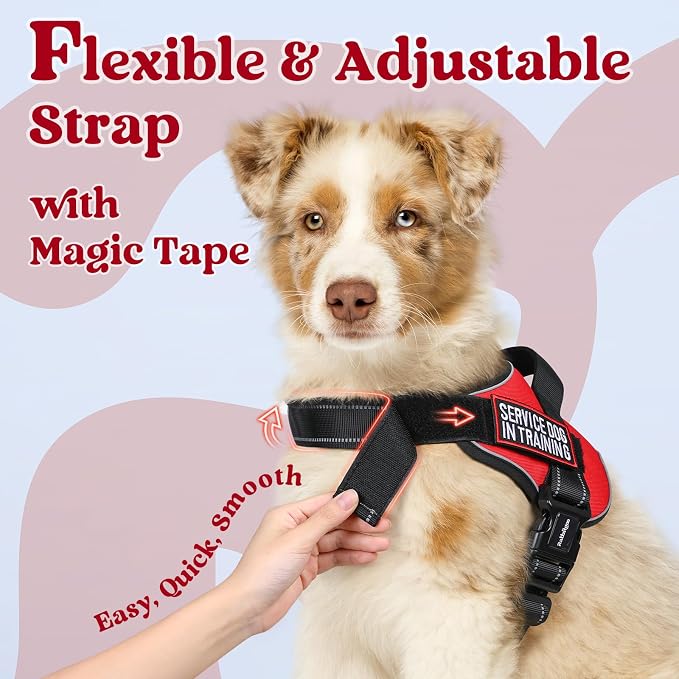 rabbitgoo No Pull No Choke Pet Vest, Adjustable Pet Harness with Molle | Small Sized Dog Harness, Reflective, Easy Wearing with One Buckle for Walking, Training, Red, S