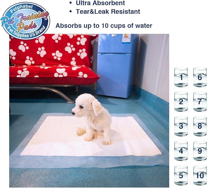 Puppy Pads, 34" x 28" XXL-Large, Ultra Absorbent - All Day Premium Dog Pads - 42 Count by Petphabet