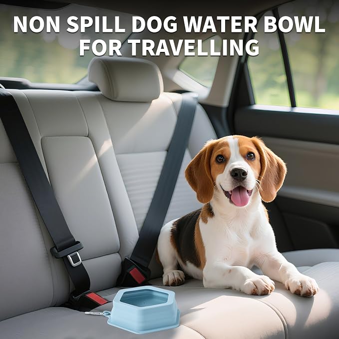 No Splash Dog Travel Bowl for Cars, Morandi Blue