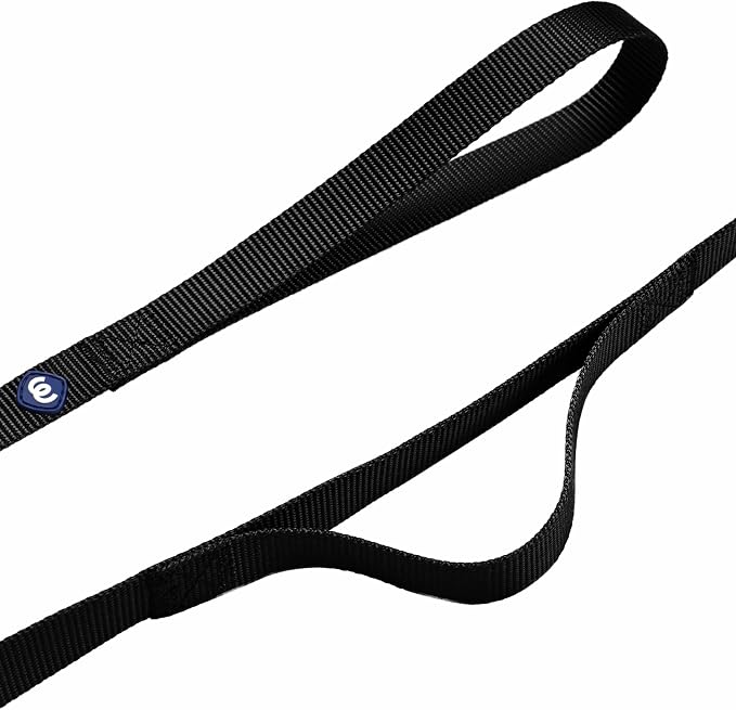 Blueberry Pet Essentials Double Handle Dog Leash for Traffic Control | 4ft. x 1" Large Dog Leash | Classic Dog Leash with Two Handles for Dogs That Pull | Nylon 2 Handle Dog Leash in Black