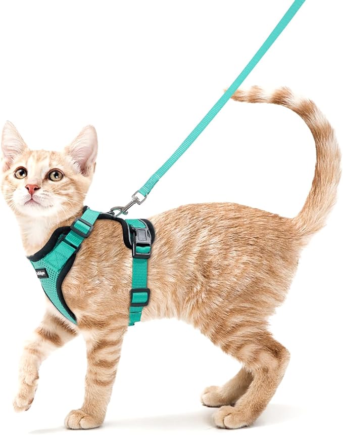 rabbitgoo Cat Harness and Leash Set, Escape Proof Vest, Emerald | Soft Breathable Mesh, Easy Adjustable Fit, Snap Buckles, Sturdy Clip, Reflective Strips, for Average Cats Walks, S