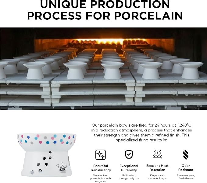 Necoichi Raised Cat Food Bowl – Ceramic Elevated Cat Bowl for Whisker & Neck Fatigue, Dishwasher Microwave Safe – Non-Slip & Anti Vomiting Ergonomic Design (Colorful Dots, Regular, 1 Cup Capacity)