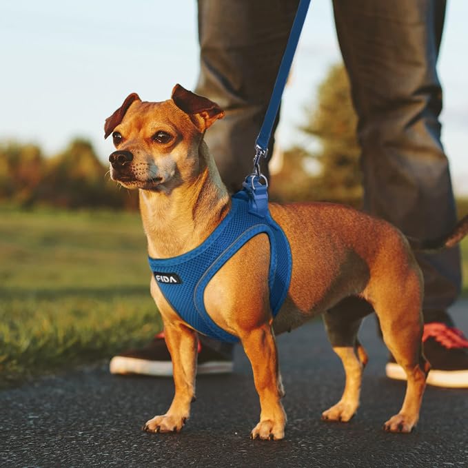 Fida Comfy Dog Harness with Leash, Soft Puppy Vest Escape Proof, Breathable Lightweight Soft Mesh, Adjustable Reflective Step-in Harness for Small & Medium Pet Walking (L, Blue)