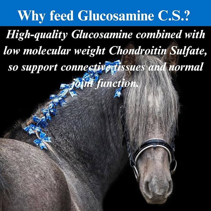 SU-PER Glucosamine C.S. Horse Joint Supplement - Supports Healthy Joints and Inflammatory Response in Horses - 1 Gallon, Liquid