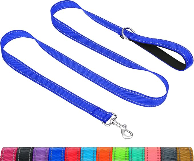 Taglory Reflective Dog Leash for Small Dogs, 3/4in x 5ft, Navy Blue | Ideal for Night Walking, Strong for Sudden Pulls, Lightweight & Gentle on the Neck, Soft Padded Handle