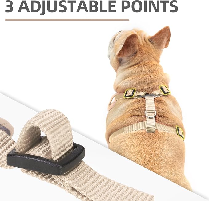 PUPTECK Small Dog Harness and Leash Set, No Pull Adjustable Puppy Cat Harness, Reflective Soft Mesh Pet Vest Small Sized, Beige, S