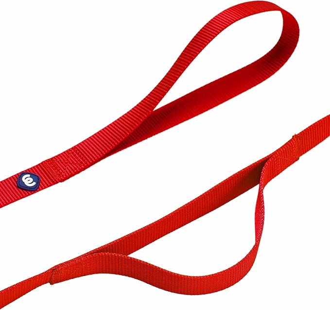 Blueberry Pet Essentials Double Handle Dog Leash for Traffic Control | 5ft. x 3/8" X-Small Dog Leash | Classic Dog Leash with Two Handles for Dogs That Pull | Nylon 2 Handle Dog Leash in Rouge Red