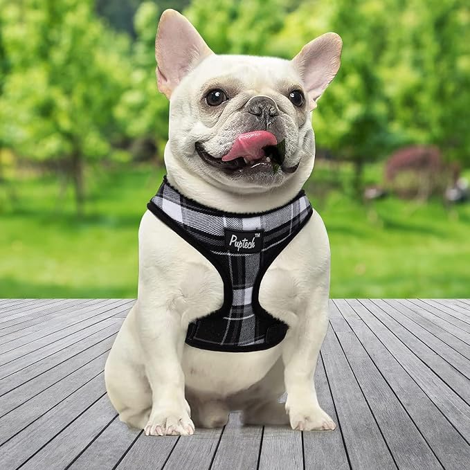 PUPTECK Soft Mesh Dog Harness and Leash Set Pet Puppy Cat Comfort Padded Vest No Pull Harnesses, Black, XS