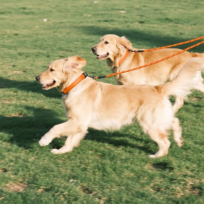 Taglory Double Dog Leash Coupler for Two Dogs, 1/3" Lightweight Dual Leash Extension for Small and Medium Dogs, No Tangle 360° Swivel, Reflective Rope, 30 Inch, Orange