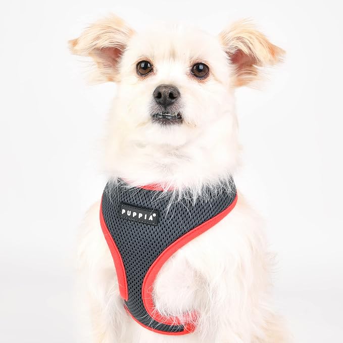 Puppia Soft Dog Harness II Mesh Over-the-Head All Season No Pull No Choke Walking Training Adjustable for Small & Medium Dog - Grey - XL