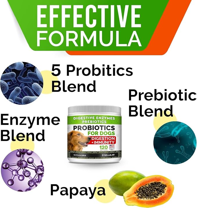 STRELLALAB Dog Probiotics Treats for Picky Eaters - Digestive Enzymes + Prebiotics