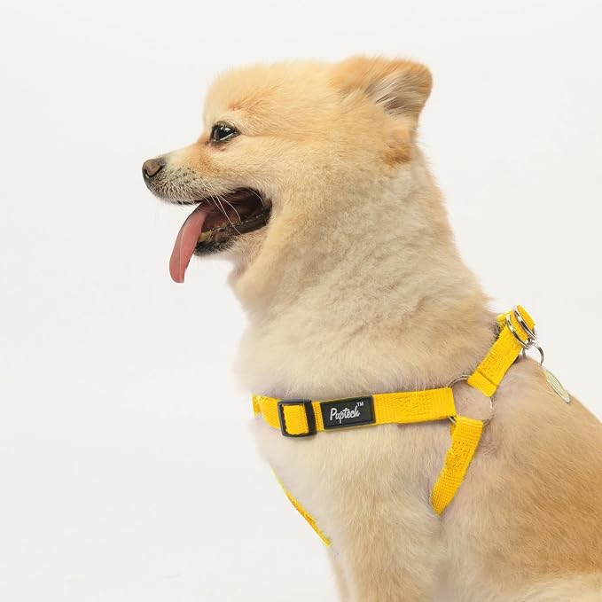 PUPTECK No Pull Dog Harness Medium Sized Step-in Adjustable Puppy Vest | Soft Webbing Basic Halter with ID Tag for Outdoor Walking