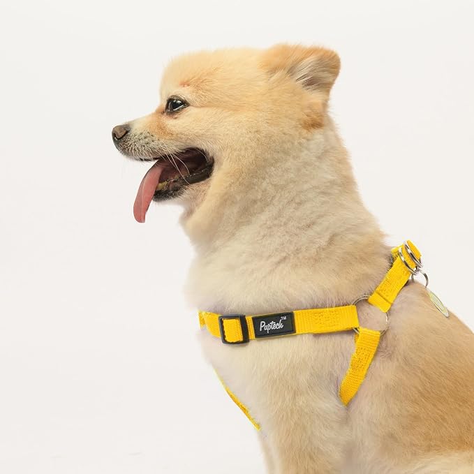 PUPTECK No Pull Dog Harness Small Sized Step-in Adjustable Puppy Vest | Soft Webbing Basic Halter with ID Tag for Outdoor Walking