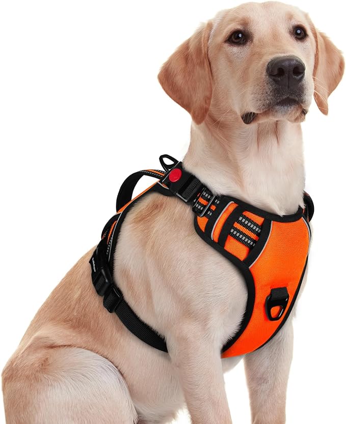 rabbitgoo Large Dog Harness, Easy Wear with 3 Buckles and Lift Handle | No Pull with Front Clip for Walking, Adjustable Soft Padded, Reflective, Easy Control, Orange, Medium