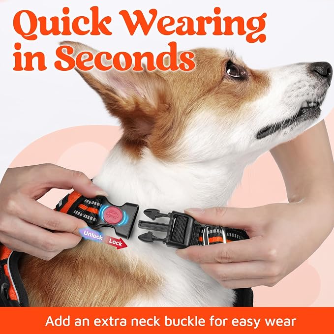 rabbitgoo Dog Harness Small Sized, No Pull 3 Buckles Easy On & Off | Soft Padded, Walking with Control Handle, Adjustable and Reflective, Orange, Small