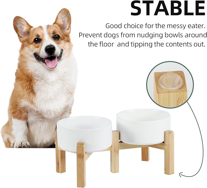 Havniva 6.1” Dog Bowls Elevated Ceramic Dog Food and Water Bowl Set, Double Raised Dog Water Bowl with Stand Non-Slip Rubber Base Two Heights Large Capacity Pet Food Bowl for Small & Medium Dogs