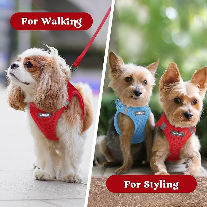 rabbitgoo Step-in Small Dog Harness, Puppy Vest for Small Sized Pet | Easy Put on and off, Lightweight, Soft, Breathable Quick-Dry Air Mesh for Comfortable Secure Walking, Red XXS