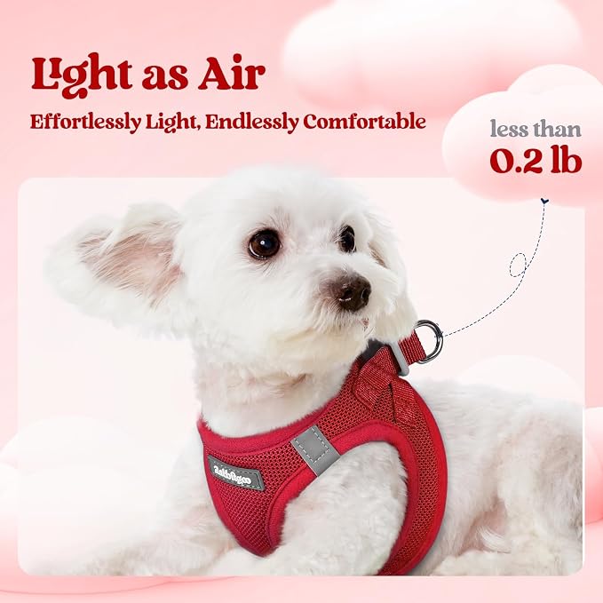 rabbitgoo Dog Harness Medium Sized and Leash Set, Step-in Puppy Pet Vest | Light, Soft, Breathable Air Mesh, Easy on and Remove with Hook & Loop, Secure Reflective for Walking, Red XL