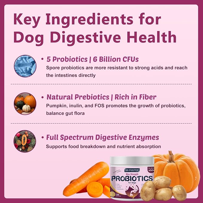 DRFOSTER Probiotics for Dogs, 6 Billion CFU, Pumpkin, 120 Chews