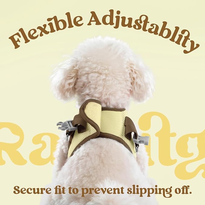 rabbitgoo Dog Harness Small Sized and Leash Set, Step in Soft Vest | Breathable Mesh, Easy Wear with Hook & Loop, Light and Reflective for Walking, Multi-colored, Beige & Coffee, S