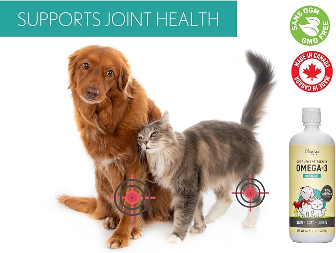 Camelina Oil for Dogs & Cats, 500mL by Olimega Farm | High in Omega-3 & Vitamin E | Support for Healthy Joints, Coat & Skin | Alternative to Salmon Oil for Dogs | Made in Canada | Non-GMO