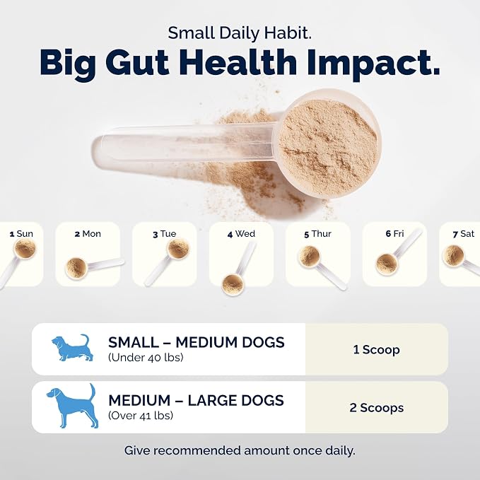 Vetnique Glandex Probiotic Powder for Dogs - 4.25oz, Pork Flavor