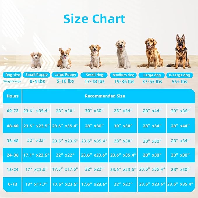 Care All-Absorb, 23.6" x 23.6", 40 Count, Dog and Puppy Training Pads, Ultra Absorbent and Odor Eliminating, Leak-Proof 5-Layer Training Pads with Quick-Dry Surface (L- 23.6 x 23.6-(40 Count))