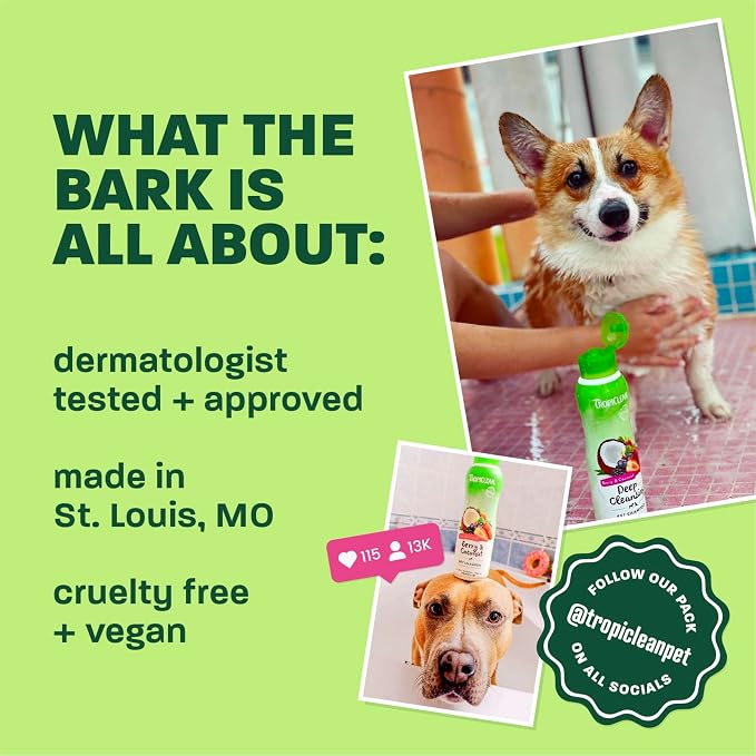TropiClean Deodorizing Dog Shampoo, Raspberry Lime Scent, 20oz | Powerful Odor Control | Long-Lasting Raspberry Lime Scent | Puppy & Cat Safe | Made in USA