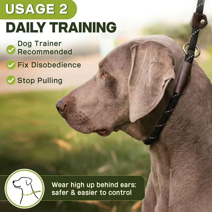 Fida Durable Slip Lead Dog Leash, 6 FT x 3/8" Heavy Duty Comfortable Strong Rope Slip Lead for Small Dogs and Puppies, No Pull Pet Training Lead with Highly Reflective(3/8", Black)