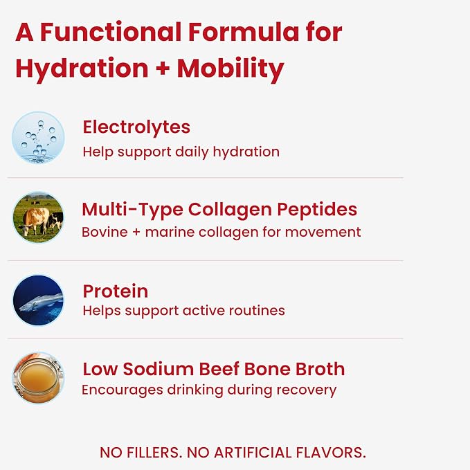 Electrolytes for Dogs with Protein – Hydration & Mobility Support with Collagen – Made with Real Beef Bone Broth – Dog Food Topper for Picky Eaters – 14 Sticks
