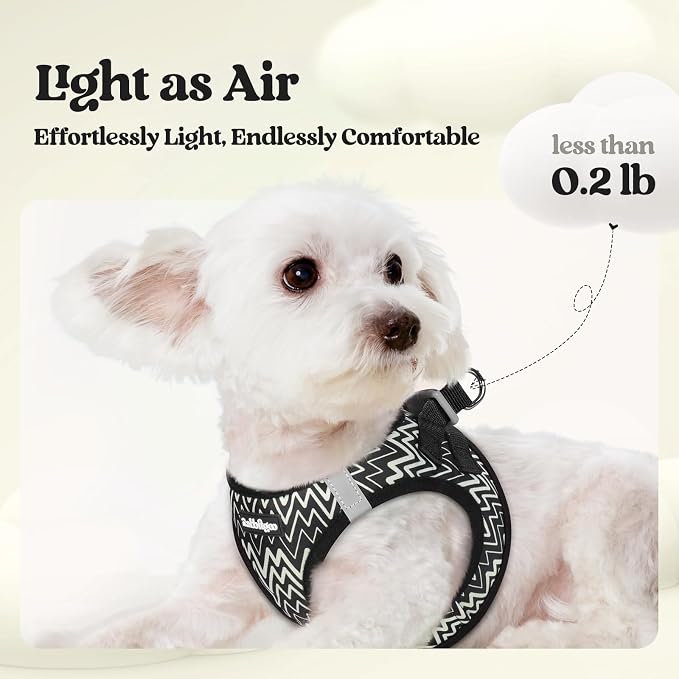 rabbitgoo Dog Harness Small Sized and Leash Set, Step-in Puppy Pet Vest | Light, Soft, Breathable Air Mesh, Easy on and Remove with Hook & Loop, Secure Reflective for Walking, Black Zigzag M