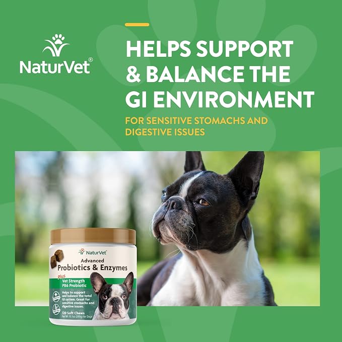 NaturVet Advanced Probiotics & No Scoot Bundle - 120ct + 120ct